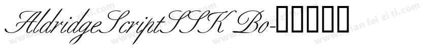 AldridgeScriptSSK Bo字体转换
